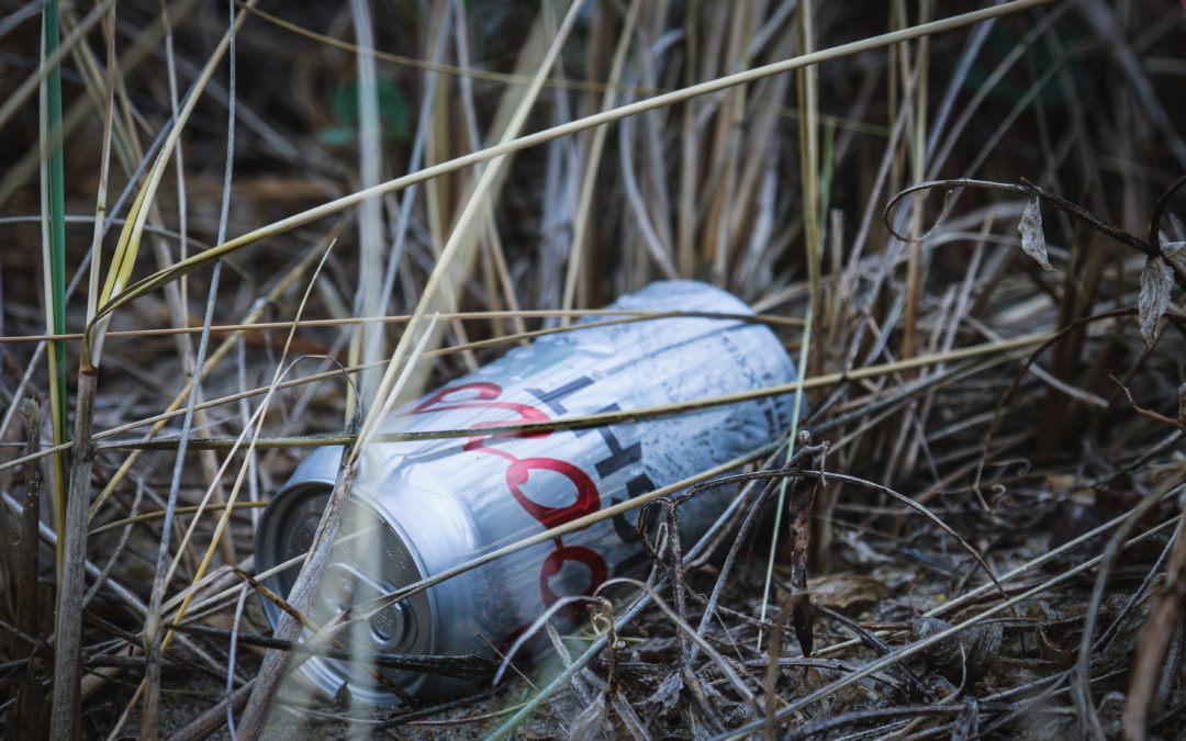 Müll im Gras, Foto Von Brian Yurasits auf Unsplash