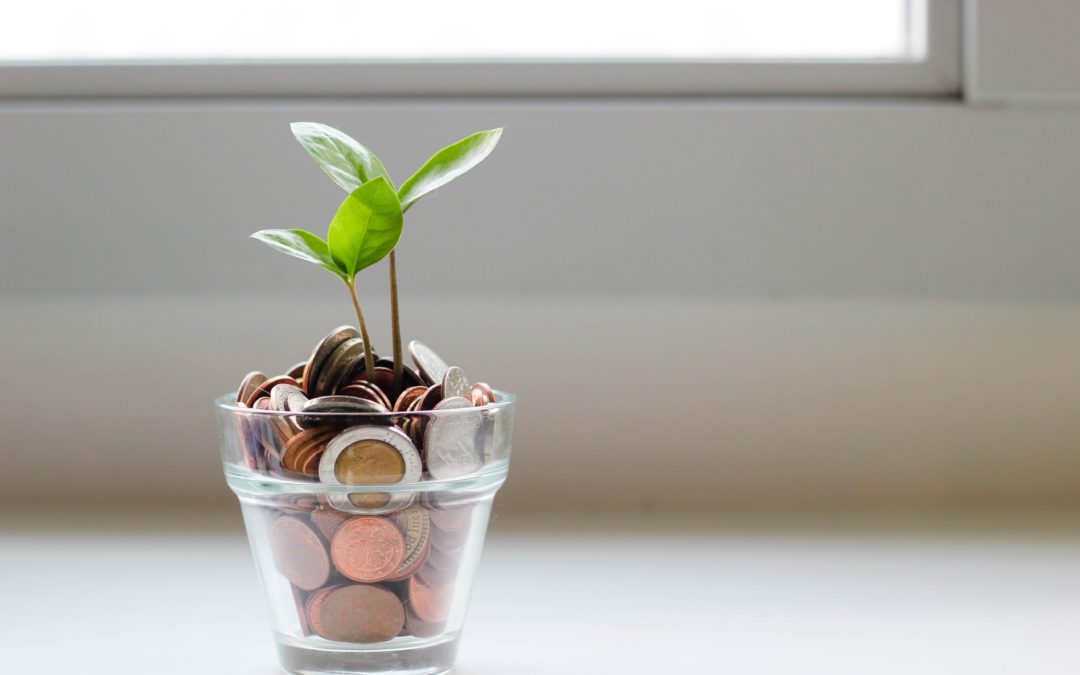 Glas mit Geld aus das eine Pflanze wächst, Foto von Micheile Henderson auf Unsplash